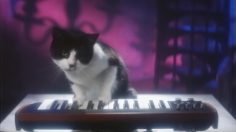 poster-27467-temptations-treat-them-too-236x132