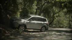 poster-27478-subaru-i-m-sorry-236x132