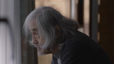 poster-27531-kal-kan-18-year-old-grandpa-236x132