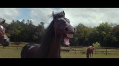 poster-27539-volkswagen-tiguan-laughing-horses-236x132