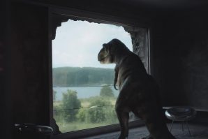 vlcsnap-2016-09-20-10h16m49s413