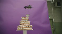 poster-27563-telia-telia-236x132