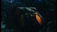 poster-27635-duracell-piles-les-lapins-x-2-236x132