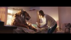 61429_preview-236x132