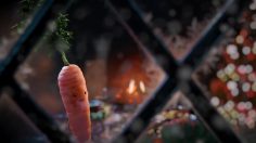 poster-27683-aldi-kevin-the-carrot-236x132
