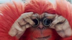 poster-27689-argos-the-argos-christmas-yetis-236x132