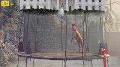 poster-27694-joe-co-uk-donald-trump-hillary-clinton-236x132