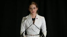 poster-27744-swedish-ministry-of-foreign-affairs-free-the-speech-236x132