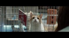 poster-27821-planet-fitness-new-year-countdown-236x132