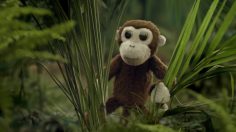 poster-27846-volkswagen-voyage-monkey-236x132