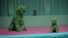 poster-27855-mailchimp-kalelimp-236x132