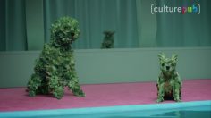 poster-27876-pubs-polemiques-et-spots-wtf-2017-01-27-236x132