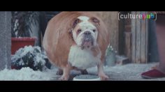 82030_preview-236x132