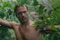 poster-27887-old-spice-jungle-hero-68x45