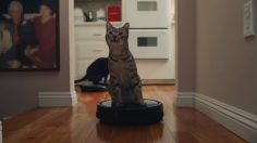 poster-27895-godaddy-the-internet-wants-you-236x132