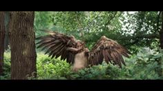 poster-27913-galaxy-chase-236x132