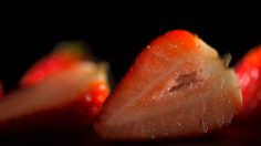 poster-27924-lastminute-com-partageons-ensemble-le-gout-du-voyage-236x132