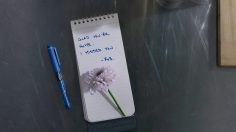 poster-27929-take-note-a-life-story-a-love-story-236x132