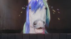 poster-27966-merci-handy-avez-vous-deja-vu-une-licorne-qui-pleure-de-rire-236x132