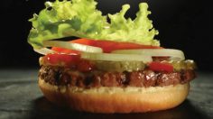 Burger-Culture-Pub-236x132