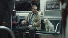 poster-28028-state-farm-neighborhoodofgood-com-the-following-236x132