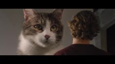 poster-28078-perrier-vous-ne-vous-attendiez-surement-pas-a-ca-say-no-to-ordinary-236x132