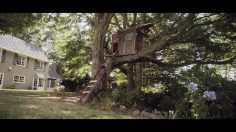 poster-28085-pedigree-treehouse-236x132