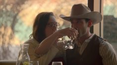 poster-28133-harlequin-cowboy-236x132