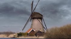 poster-28142-google-google-wind-236x132