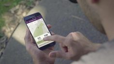 poster-28143-testicular-cancer-nz-www-goballsout-org-nz-goballsout-236x132