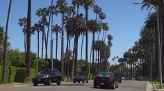 poster-28196-alliance-francaise-de-singapour-cine-club-hollywood-rejects-acclaimed-french-cinema-masterpieces-236x132