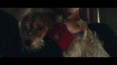 poster-28204-pedigree-general-howes-dog-236x132