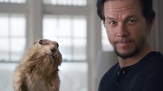 poster-28222-att-terms-conditions-236x132