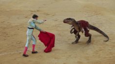 poster-28237-federation-des-luttes-pour-labolition-des-corridas-flac-renvoyons-la-corrida-a-lere-des-dinosaures-236x132