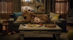 poster-28239-lysol-protect-like-a-mother-236x132