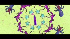 poster-28299-mtv-sex-toy-don-t-fck-the-ocean-the-song-236x132