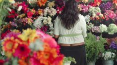 poster-28305-liquid-plumr-cracks-236x132