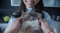 poster-28316-lynx-axe-is-it-ok-for-guys-236x132