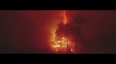 poster-28363-greenpeace-appel-aux-dons-happy-birthday-236x132