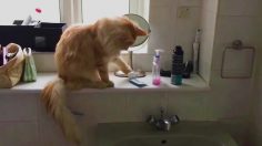 poster-28376-amazon-amazon-music-unlimited-rearranging-the-bathroom-236x132