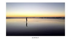 earth-shot-on-iPhone-236x132