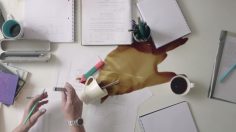 movistar-phone-love-236x132