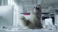 poster-28446-wurkz-boisson-energetique-sloth-236x132