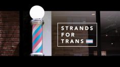 poster-28503-barba-men-s-grooming-boutique-strands-for-trans-236x132