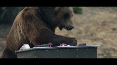 poster-28507-otterbox-ultra-bear-resistant-venture-coolers-236x132