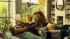 poster-28550-ikea-lion-man-236x132