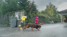 ikea-l-incroyable-journée-de-Leo-culturepub-236x132