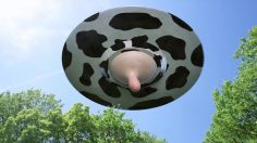 62267_preview-236x132