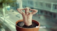 poster-28665-tuenti-argentina-plantas-236x132