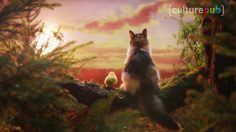 poster-28677-chaton-religion-et-genetique-2017-09-13-236x132